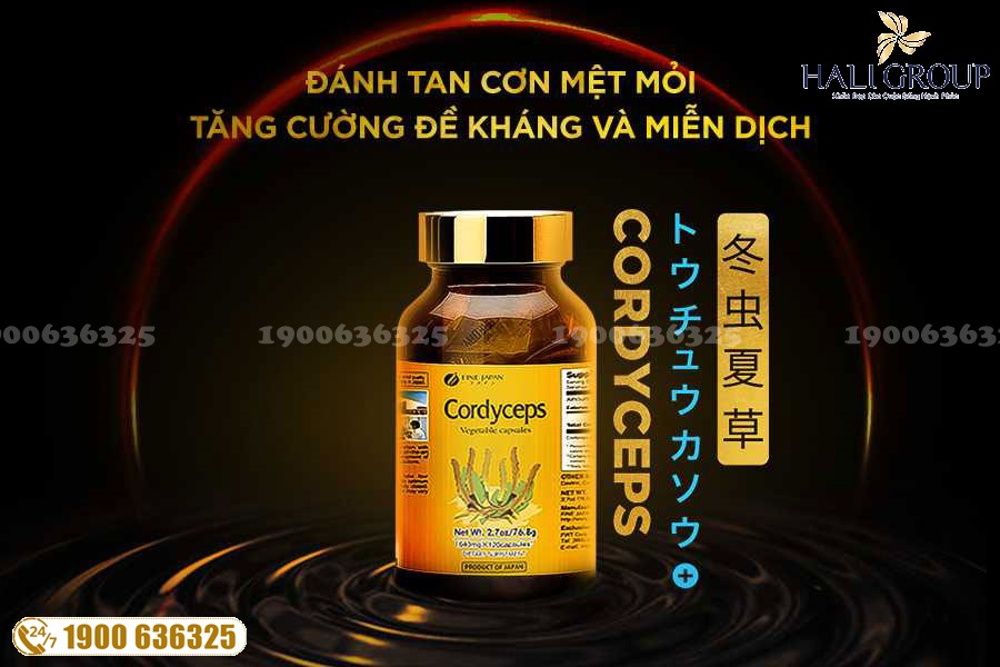 Cordyceps Fine Japan - sản phẩm "vàng" cho đối tượng bị suy nhược cơ thể