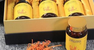 Đại lý bán đông trùng hạ thảo nguyên con Thiên Phúc HCM