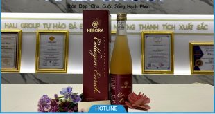 Những câu hỏi thường gặp khi dùng nước uống Hebora Enrich Collagen Nhật Bản