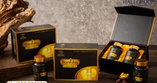 Mua viên nang bổ thận Banikha tại đại lý chính hãng